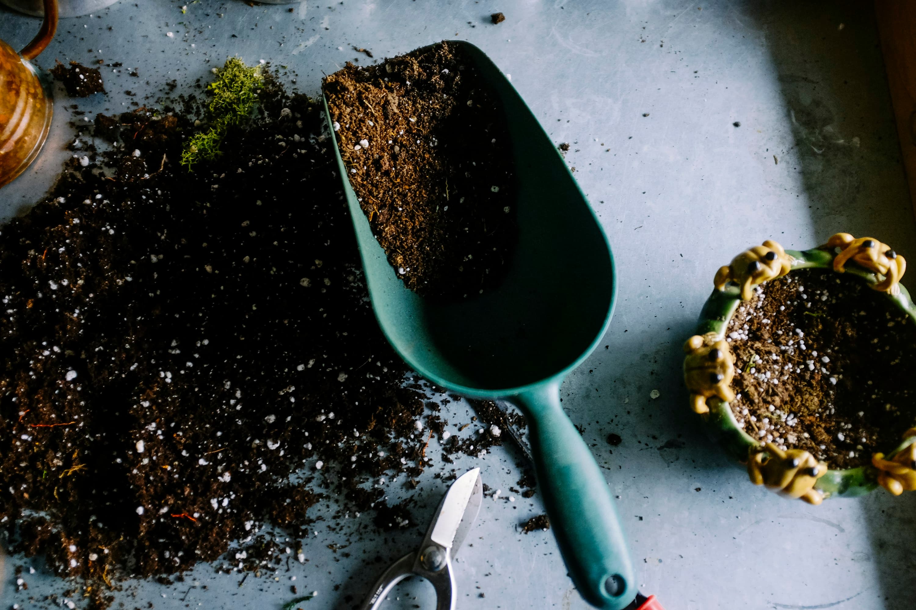 Potting compost, seed trays and hand tools laid out for a growing session