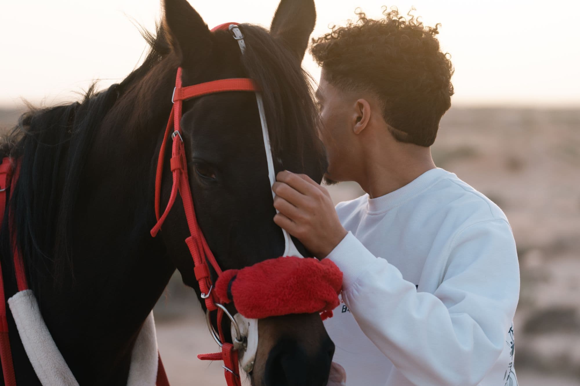 A young man rests his cheek against a bridled dark horse's face in warm light