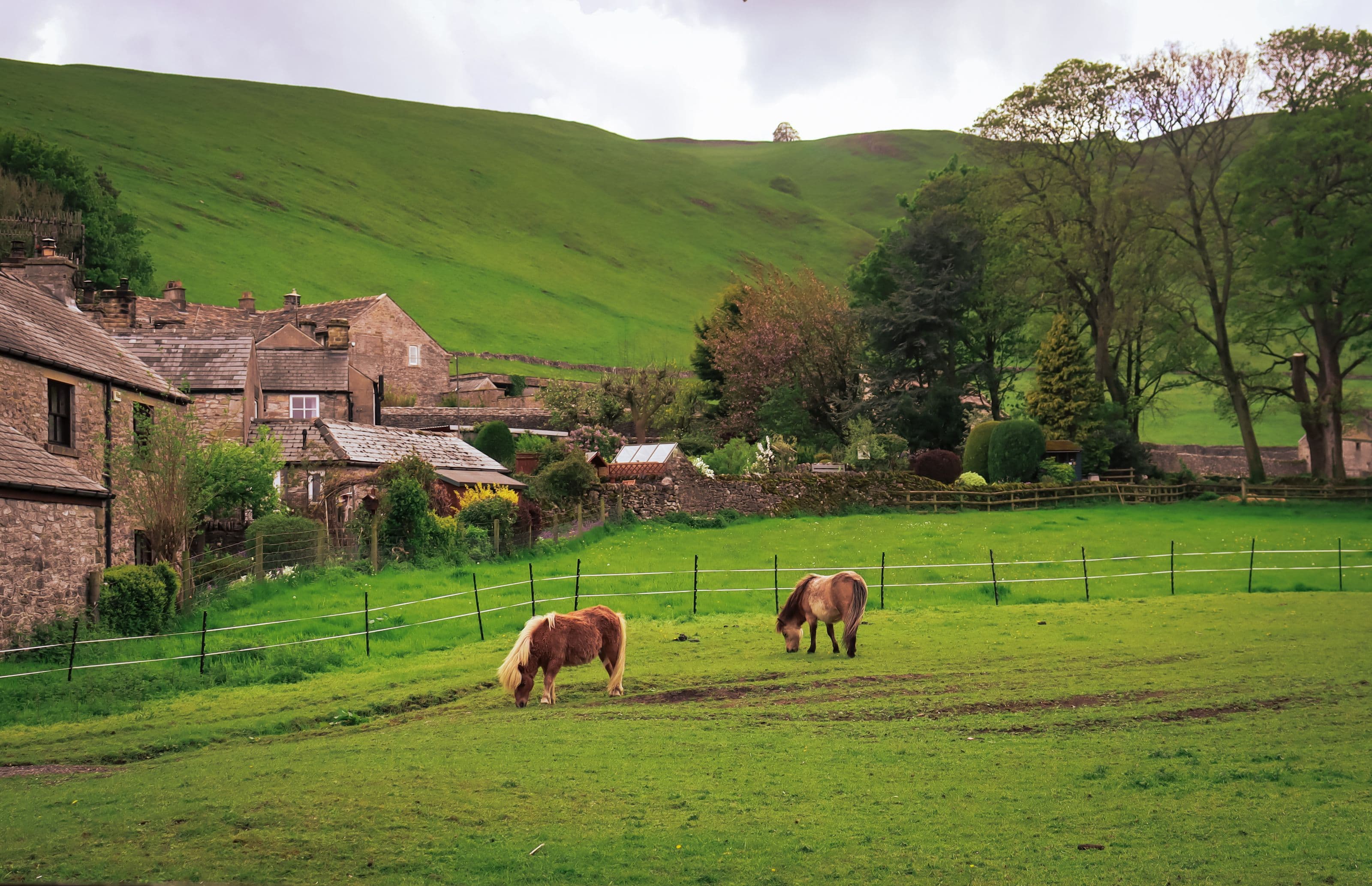 Two ponies graze a fenced paddock below stone cottages and a steep green hillside