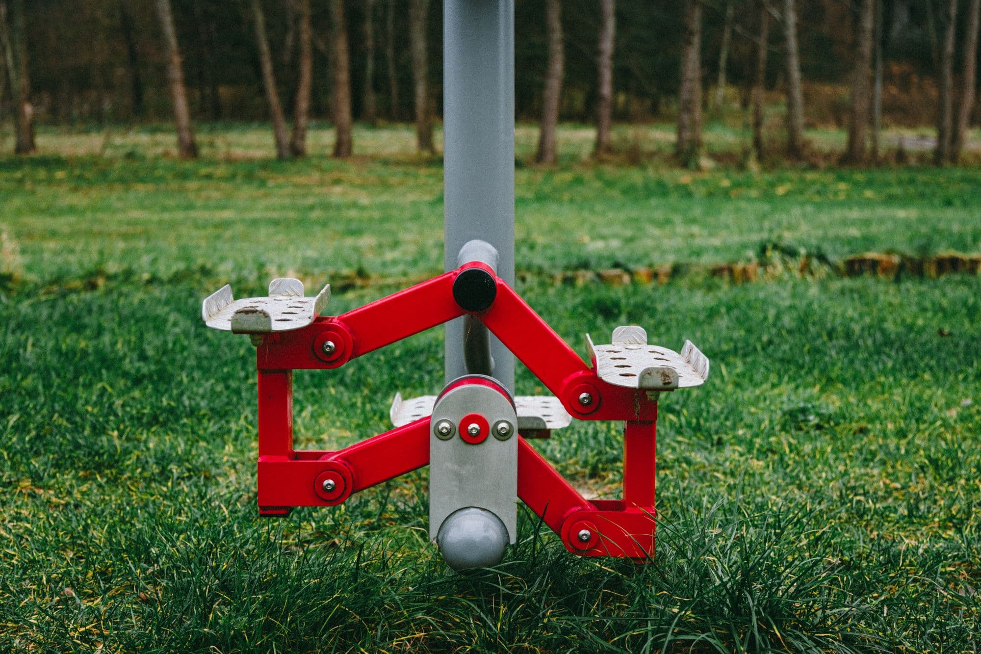 Red outdoor gym equipment stands on mown grass in front of bare birch trees