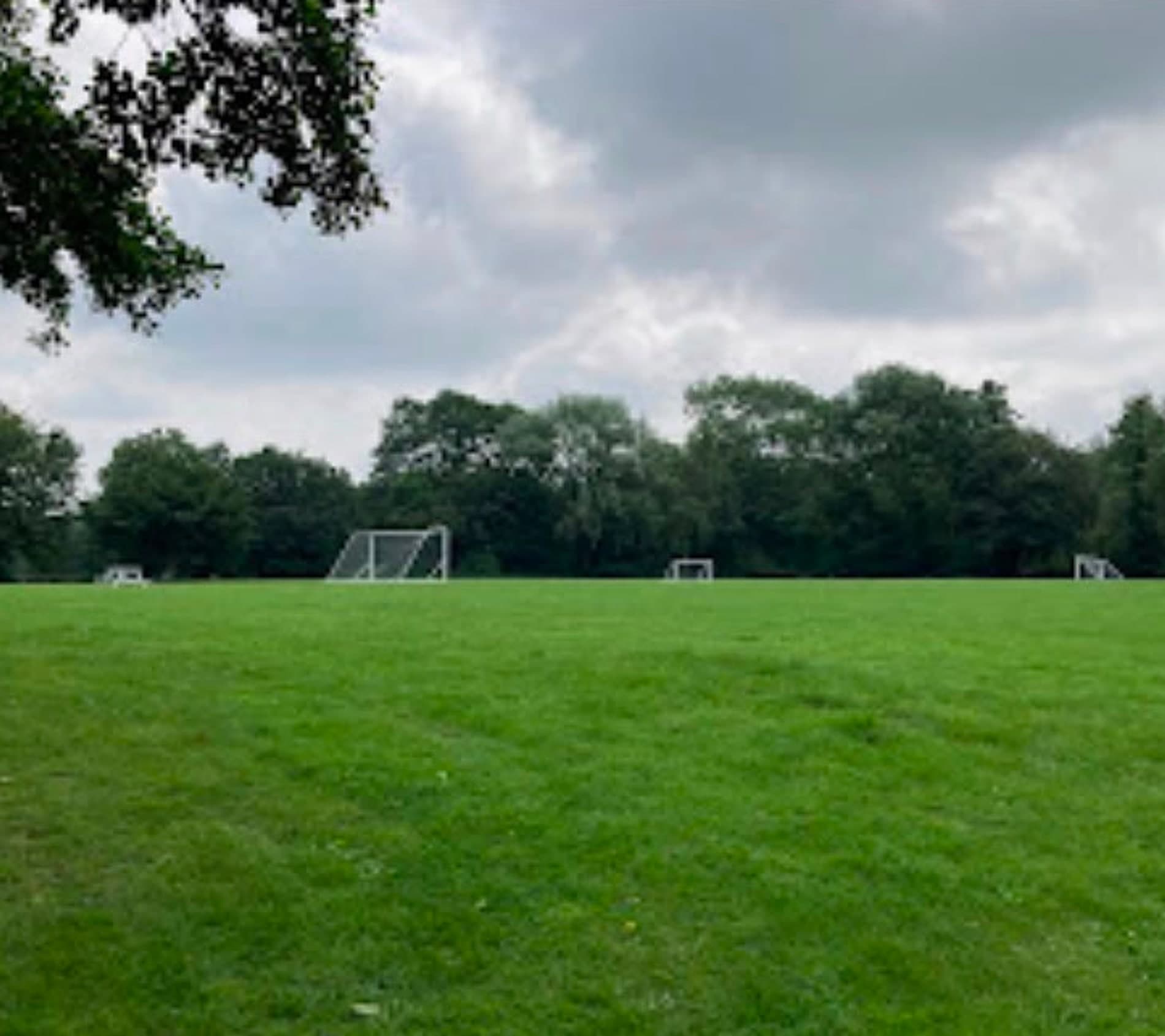 Marked-out pitches and goals across an open field, mature trees closing the far side