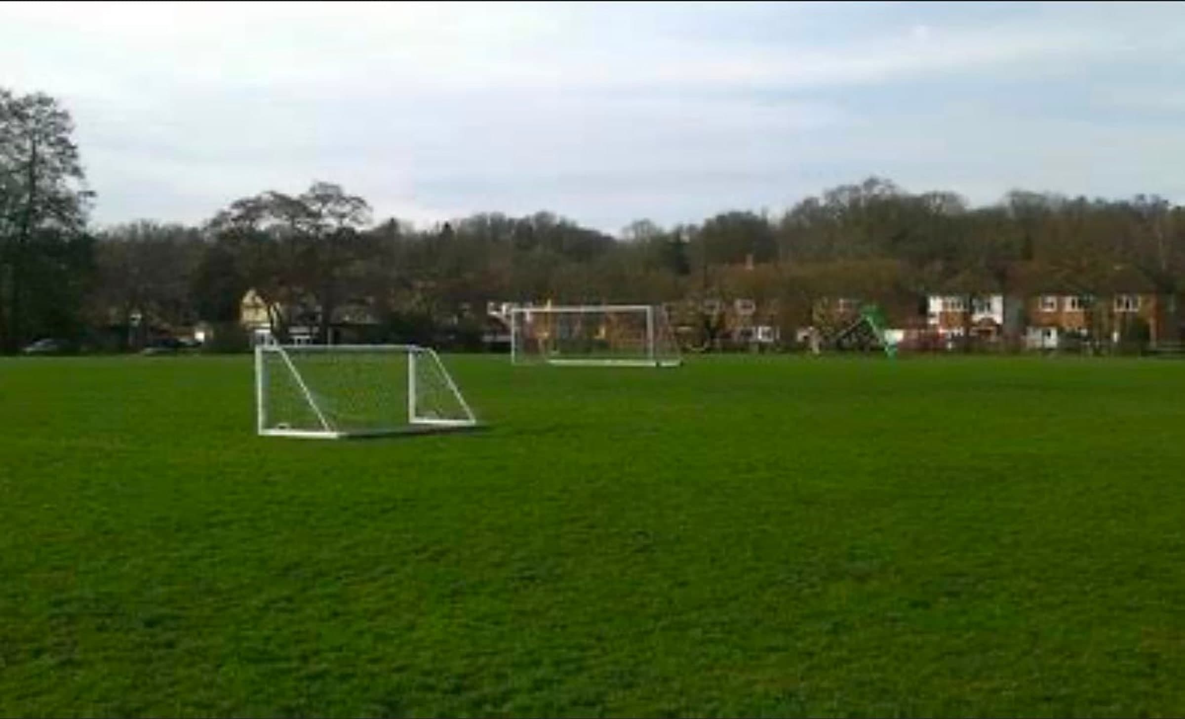 Two full-size goals stand on a mown grass pitch, houses and bare trees along the far edge